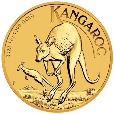 «2022 KANGAROO GOLD».jpg