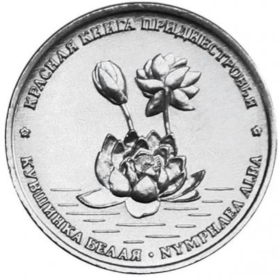 kuv.thumb.jpg.c3cb1717e1be1a55886b3712132dcdf8.jpg