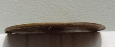 IMG_20211020_110224_340.jpg
