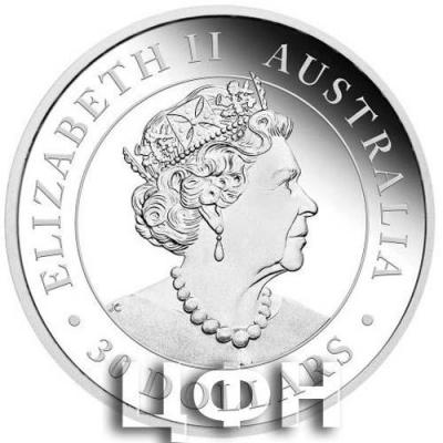 «Australian 30 (AUD) 2021».jpg