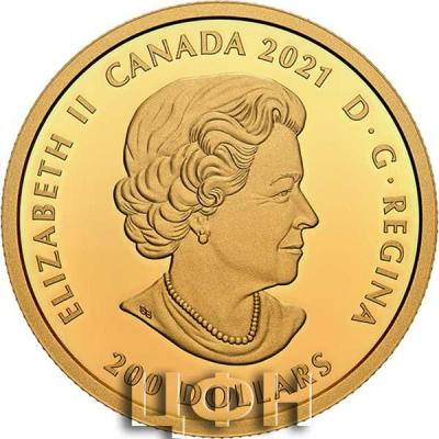 «200 DOLLAR».jpg