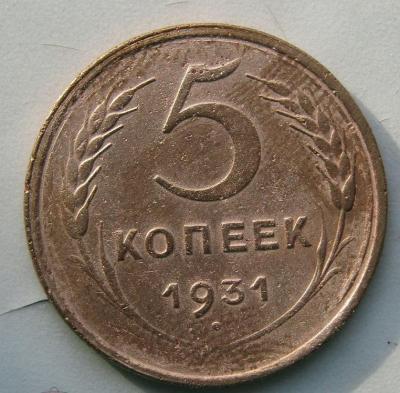 240689110.0.jpg