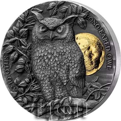 «Ghana, 0.5 oz, 2021 ASIO OTUS LONG-EARED OWL».jpg