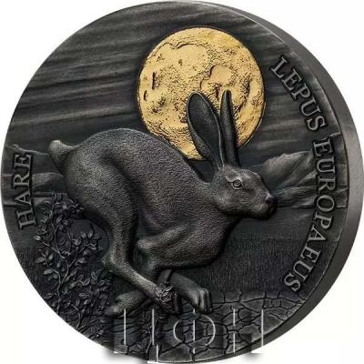 «Ghana, 0.5 oz, 2021 LEPUS EUROPAEUS».JPG