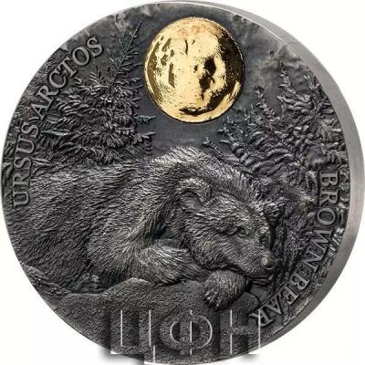 «Ghana, 0.5 oz, 2021 URSUS ARCTOS BROWN BEAR».jpg