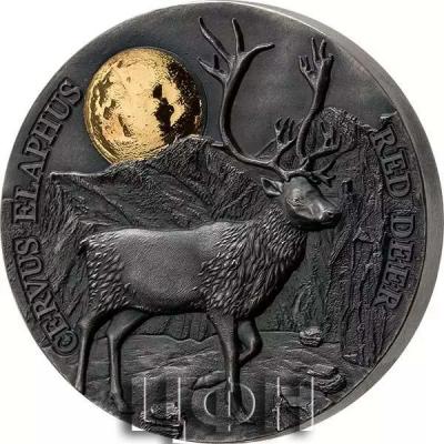 «Ghana, 0.5 oz, 2021 CERVUS ELAPHUS RED DEER».jpg