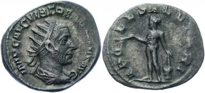 52L_hor220.JPG
