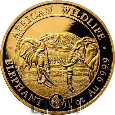 «AFRICAN WILDLIFE», «ELEPHANT».jpg