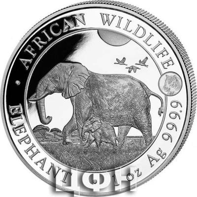 «AFRICAN WILDLIFE»  «ELEPHANT».jpg
