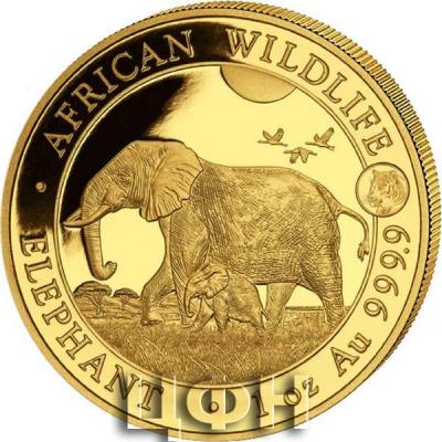 «AFRICAN WILDLIFE», «ELEPHANT».jpg