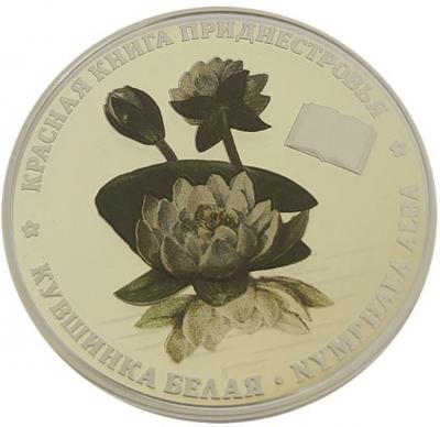 kuv.thumb.jpg.4b3aee8dbc45dfb300adbebd50ec88e9.jpg