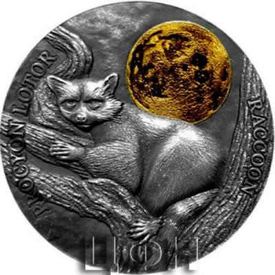 «Ghana, 0.5 oz, 2021 PROCYON LOTOR-RACCOON».jpg