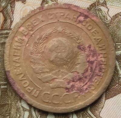 1637646000952.jpg