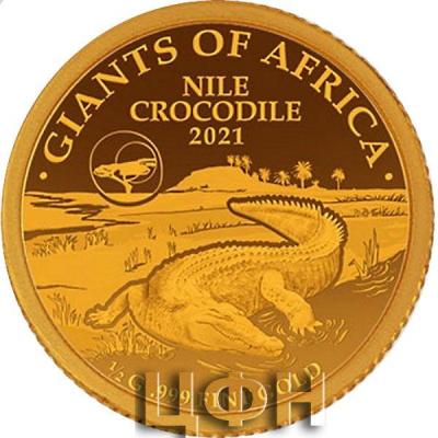 «2021 Senegal - NILE CROCODILE - GIANTS OF AFRICA».jpg