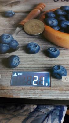 img-20211227-wa0002.thumb.jpg.f92d6510e85aad0adf9088014b1faaf5.jpg