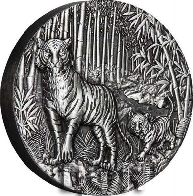 «2$ Australia 2022 Antique Finish YEAR OF THE TIGER».jpg