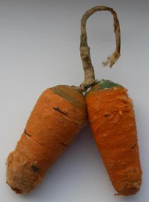 20220109_120607.jpg