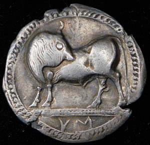stater-lukaniya-sibaris_57763-1.jpg.709a10da92277b7d3bceb455ce40f678.jpg