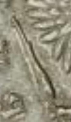 20220210_000427.jpg