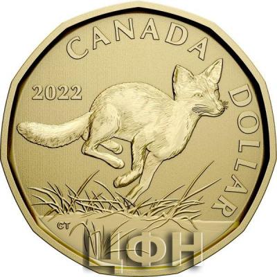 «6-Coin Specimen Set – Swift Fox».jpg