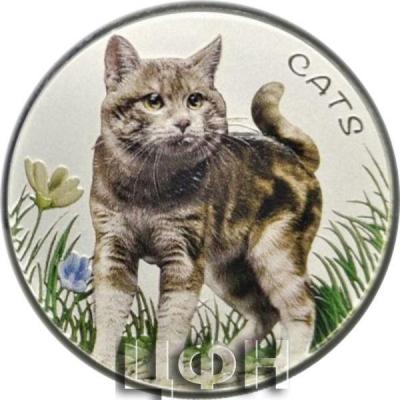 «Fiji CATS 1. Ausgabe 2022 5 oz Silber, Antik Finish»..jpg