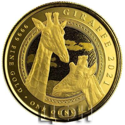 «3,000 Francs CFA (Eq. Guinea) Giraffe bullion coin».jpg