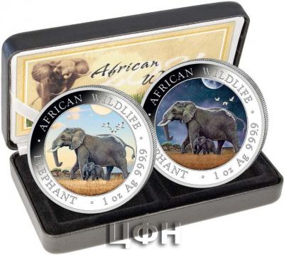 «ELEFANT - DAY & NIGHT - SATZ AFRICAN WILDLIFE».jpg