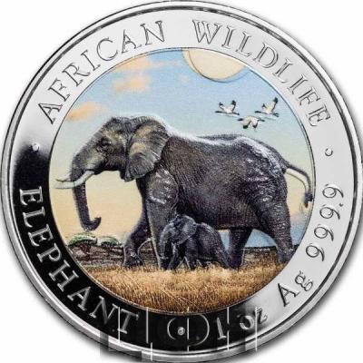 «2022 Somalia 1 oz Silver Elephant (Colorized)».jpg