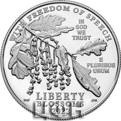 «First Amendment to the United States Constitution 2022 Platinum Proof Coin - Freedom of Speech».jpg