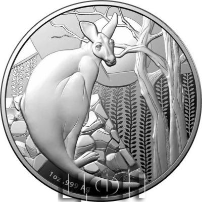 «Kangaroo 2022 $1 1oz Silver Proof Coin».jpg
