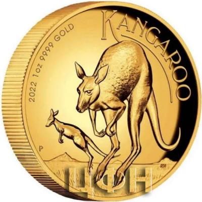 «100 DOLLARS AUSTRALIA - KANGAROO».jpg
