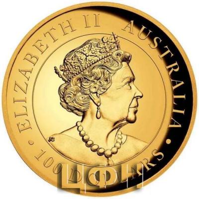 «100 DOLLARS AUSTRALIA».jpg