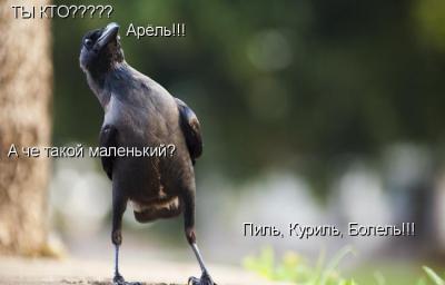 1081656.jpg