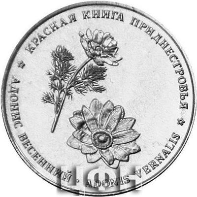 «1 рубль Приднестровье Адонис весенний».jpg