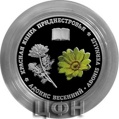 «10 рублей Приднестровье Адонис весенний».jpg