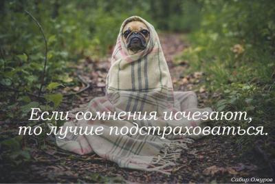 98KIZLsl.jpg