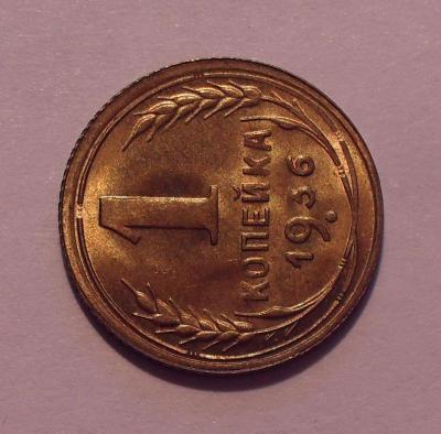 SDC12955.JPG
