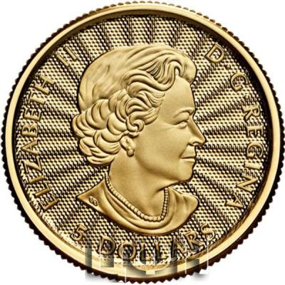 «5 $ 2022 Pure Gold Coin - The Majestic Polar Bear.».jpg