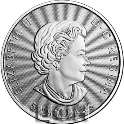 «5 $ 2022 Pure Silver Coin - The Majestic Polar Bear.».jpg
