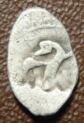 DSCN6370.JPG