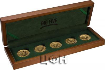 «BIG FIVE AFRICA Set 5 Gold Coins 100 Francs Ivory Coast 2022».jpg