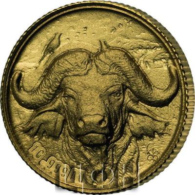 «Buffalo - BIG FIVE AFRICA 1g Gold Coin 100 Francs 2022».jpg