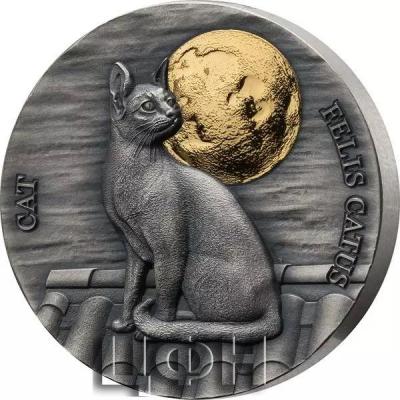«2 Cedis Ghana Katze 2021».jpg