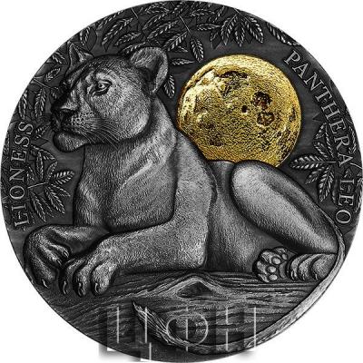 «LIONESS Wildlife In The Moonlight».jpg