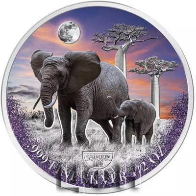 «500 Francs Kamerun Savanna Life - Elephant 2022».jpg