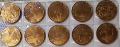 китай животные 2.jpg