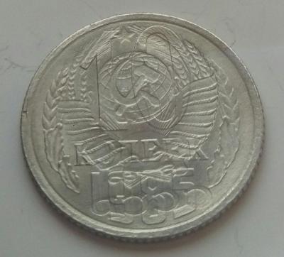 IMAG1371_1.jpg