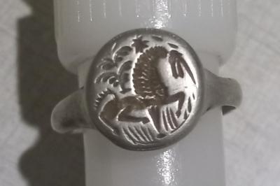 20220429_200730.jpg