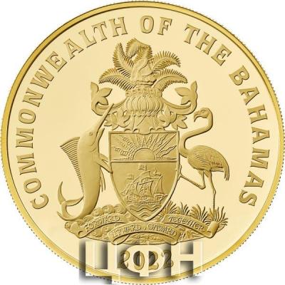 «2022 $250 Gold Proof».jpg