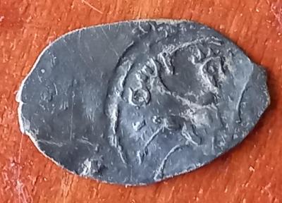 20220507_180318.jpg